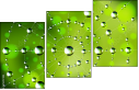 51217403