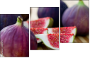 52014179