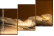 52670728