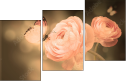 52744741