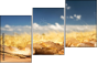 52793015