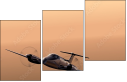 53511493