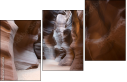 53751853