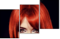 53895849