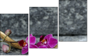 54405316