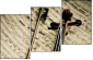 54506799