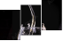 54808918