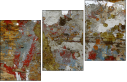 55026484