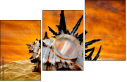 55164339