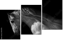 55501476