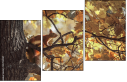 55703900