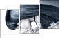 55810226