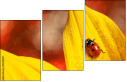 55820987