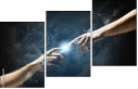 55886651