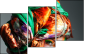 56076914