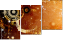5648461