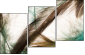 56562123