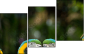 56795972