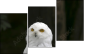 57060206