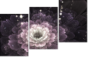57185040