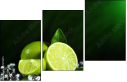 57479075