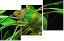 57907029