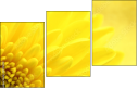 57915870