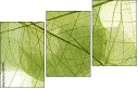 58647115