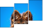 58783058