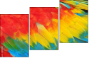59019361