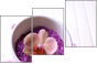 59034418
