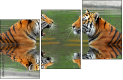 59476374