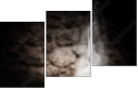 59781702