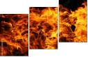 59859879