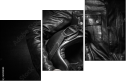 60318085