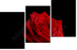 60429320