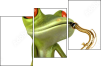 61064251