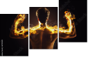 61751589
