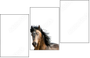 62618176