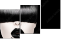 62623049