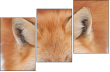 62758452