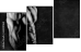 63490164