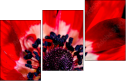 64202605