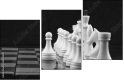 64265045