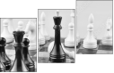 64265081