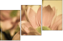 65771321