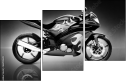 66895628