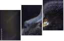 67261784