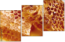 68182564