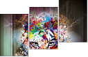 68720496